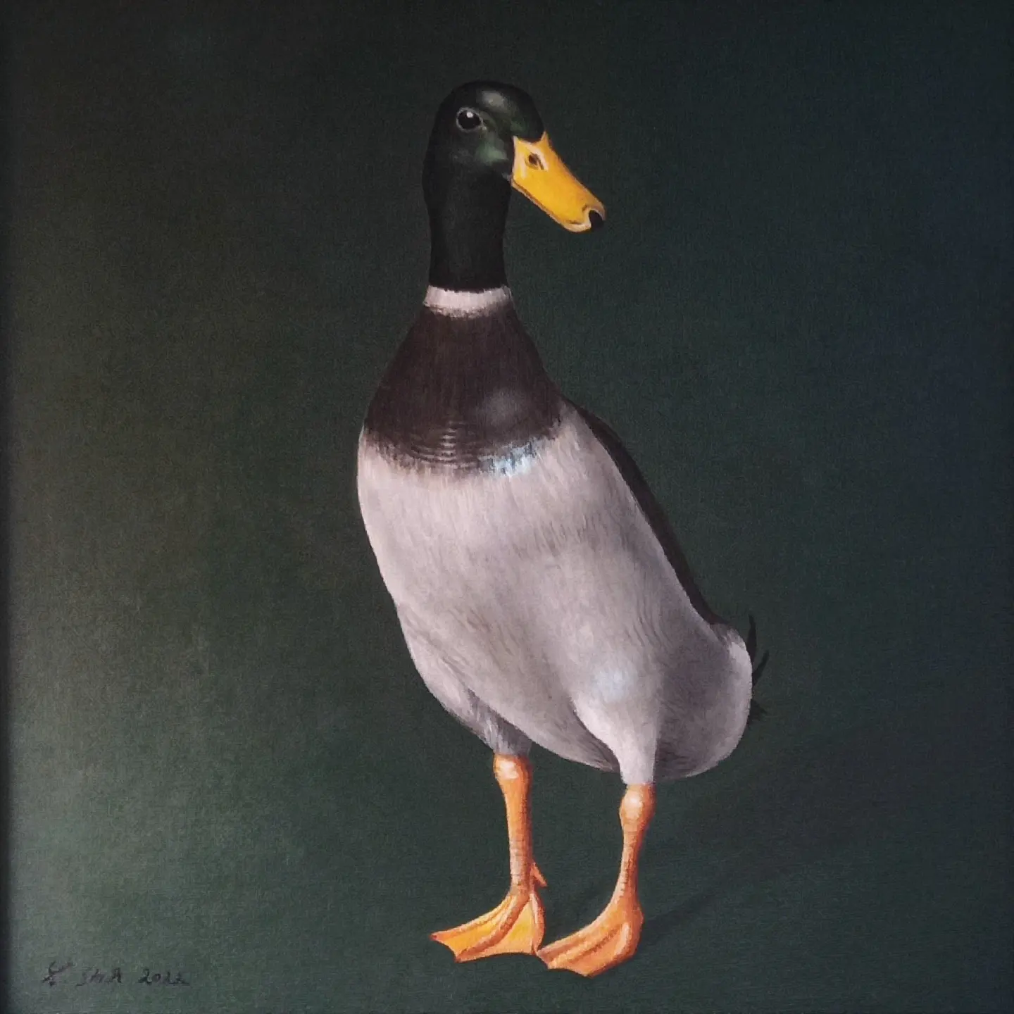 Ente – Öl auf Leinwand, 2024